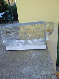 Gabbia per cova con divisorio