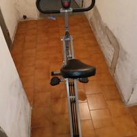 Sunny Health & Fitness Row-N-Ride