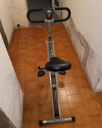 Sunny Health & Fitness Row-N-Ride