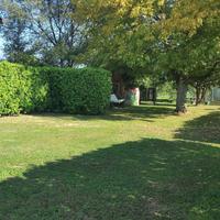 Pensione cani Rosy dog sitter