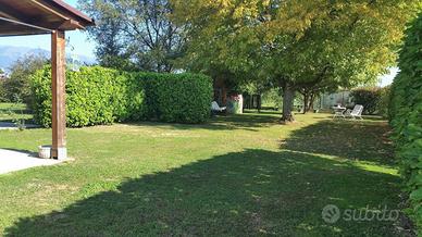 Pensione cani Rosy dog sitter