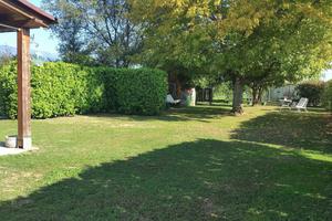 Pensione cani Rosy dog sitter