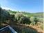 Immagine 19