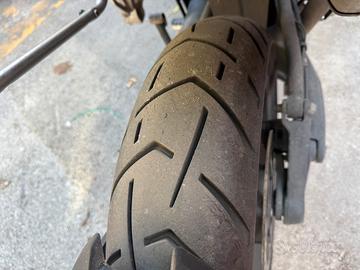 Tiger Explorer 1.200