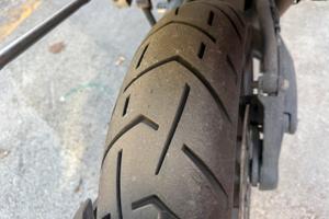 Tiger Explorer 1.200