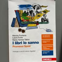 libro sui promessi sposi