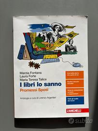 libro sui promessi sposi