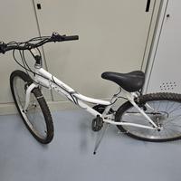 Bici 26"