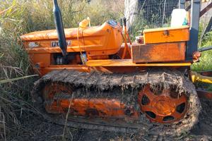 Trattore cingolato fiat 605