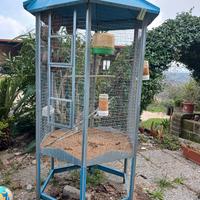 voliera per uccelli 
