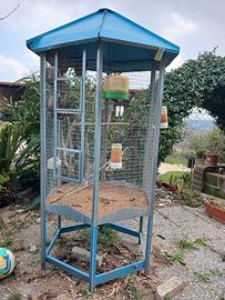 voliera per uccelli 