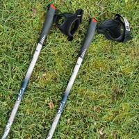 bastoncini  Nordic walking