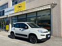 fiat-panda-1-0-firefly-hybrid-34-000km-2022