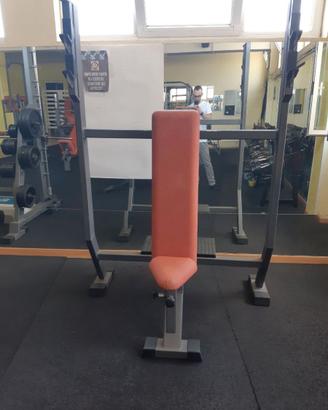 Panca Verticale Panatta