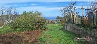 Castanea,terreno agricolo di circa 3300mq,