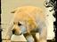 Immagine 28