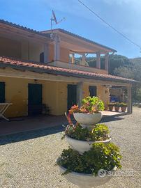 Isola d'Elba 100 mt dal mare loc innamorata