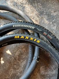 maxxis+mousse