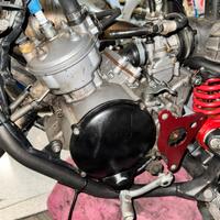 motore am6 80 polini 15h