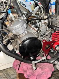 motore am6 80 polini 15h