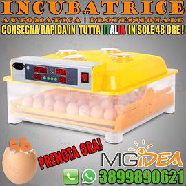 Incubatrice automatica 56 plus kit svezza