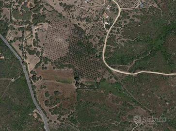 Immobile in asta di 102366 m² a Olbia