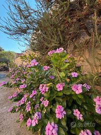 Li Punti villa indipendente con giardino 800 mq