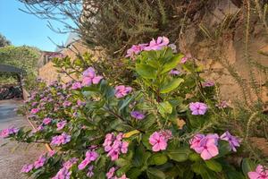 Li Punti villa indipendente con giardino 800 mq