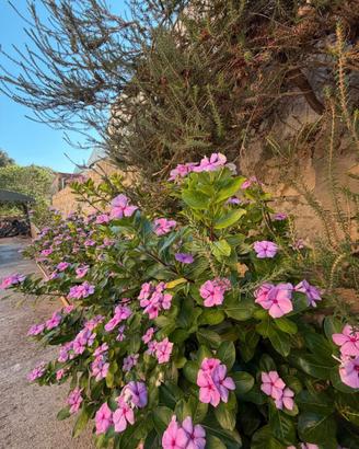 Li Punti villa indipendente con giardino 800 mq