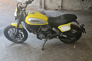 Ducati 800 scrambler flat track