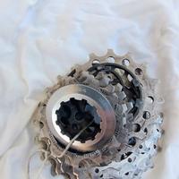 Pignoni Shimano 10V 11-23