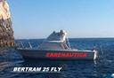 bertram-25-sport-fisherman-fly-permuta