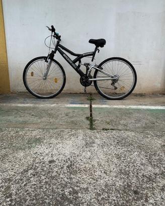 3 bici diverse taglie