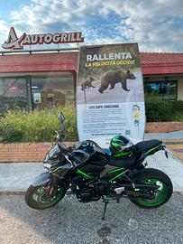 Kawasaki Z 900 125 cv 05/2024