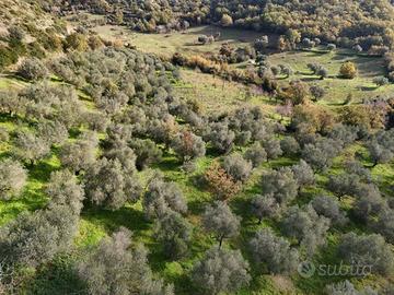 Terreno di 10500 m² a Perdifumo