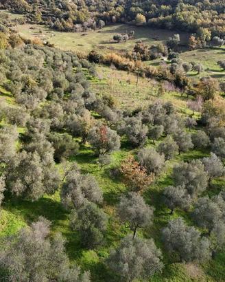 Terreno di 10500 m² a Perdifumo