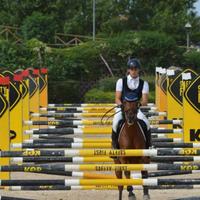 Vendi pony per competizione