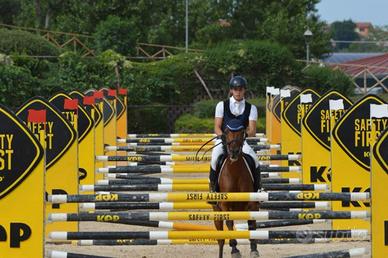 Vendi pony per competizione