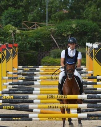 Vendi pony per competizione