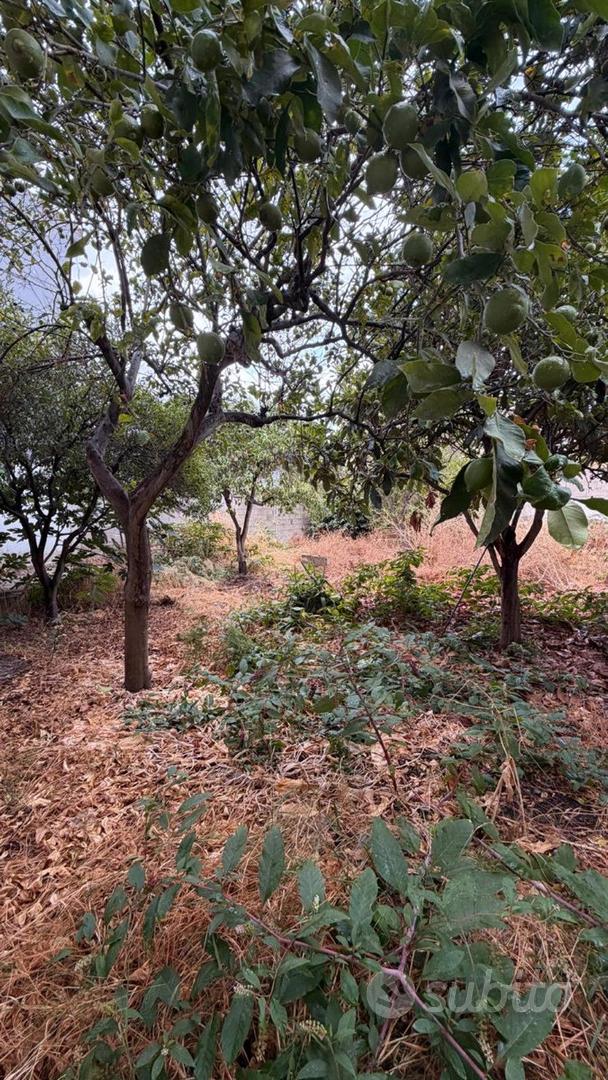 Appartamento – Oristano, Città Giardino, Aristanis/Oristano - Vista 3