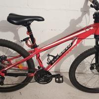 mtb specialized hardtail