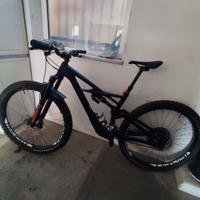 Specialized enduro 29 tgM