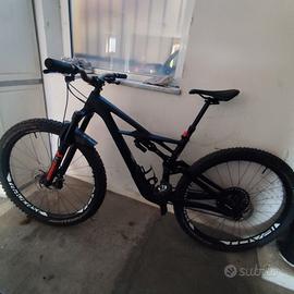 Specialized enduro carbon 29 tgM