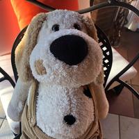 cane peluche con salopette in velluto