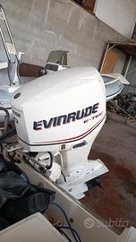 evinrude etec 90 2008 300 ore (lago)