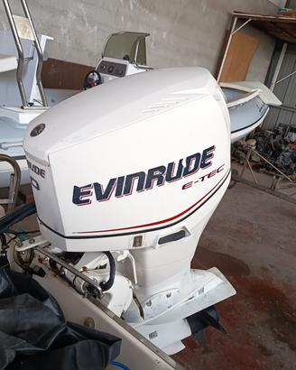 evinrude etec 90 2008 300 ore (lago)