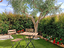 Immagine 12
