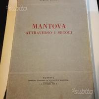 Mantova, attraverso i secoli,libro, 1933