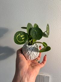Kokedama 🍀