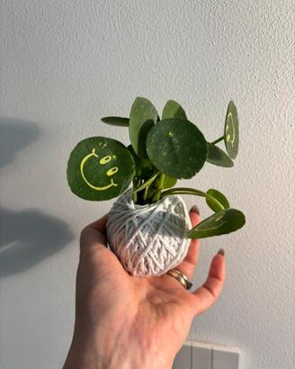 Kokedama 🍀